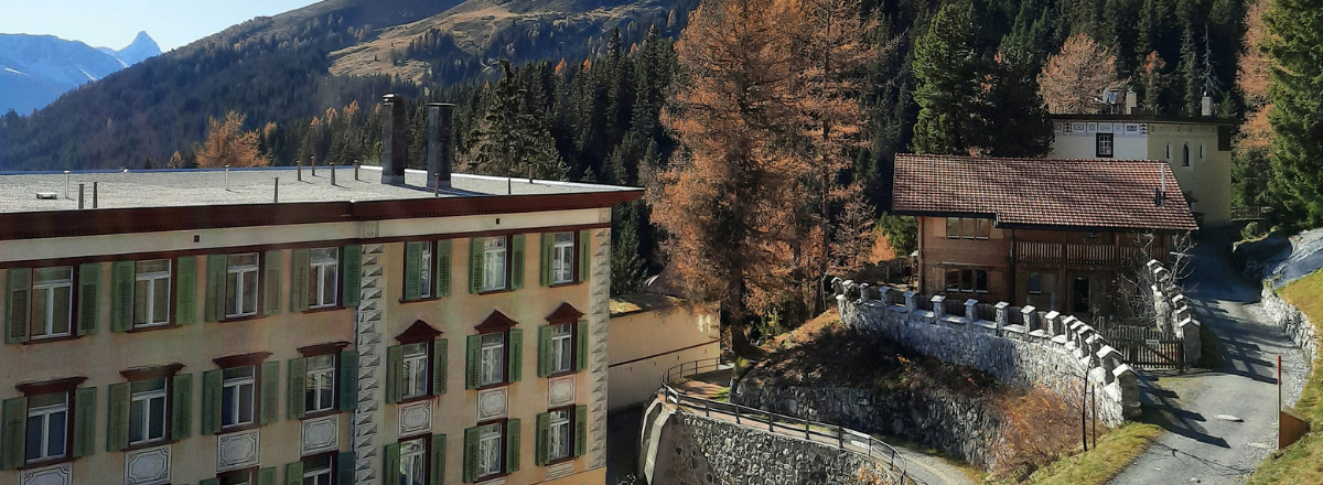 Hotel Schatzalp Alperne