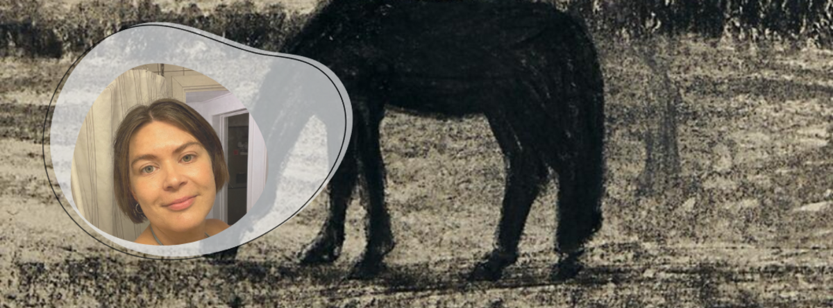 Mørkt og grumset billede af en hest, knausgård