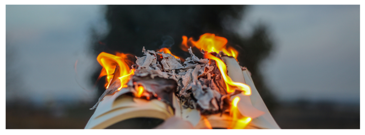 bog i brand