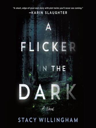 Stacy Willingham: A Flicker in the Dark : A Novel