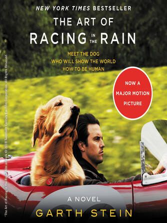 Garth Stein: The Art of Racing in the Rain : A Novel