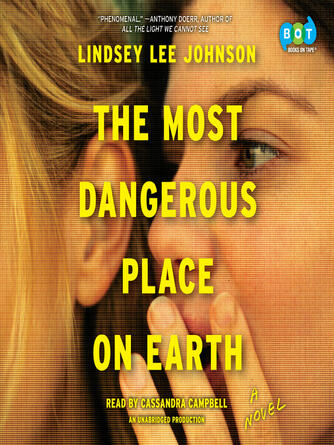 Lindsey Lee Johnson: The Most Dangerous Place on Earth : A Novel