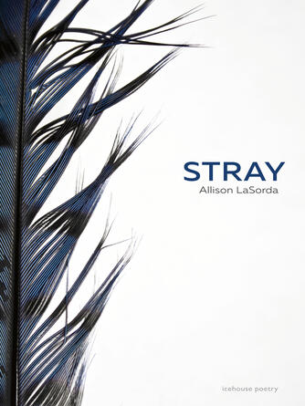 Allison LaSorda: Stray