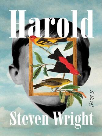 Steven Wright: Harold