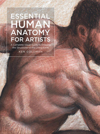 Ken Goldman: Essential Human Anatomy for Artists : A Complete Visual Guide to Drawing the Structures of the Living Form