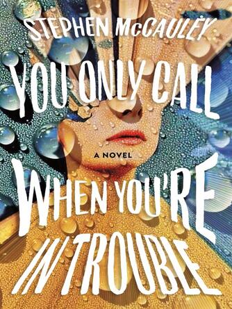 Stephen McCauley: You Only Call When You're in Trouble : A Novel