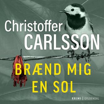Christoffer Carlsson: Brænd mig en sol