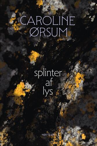 Caroline Ørsum: Splinter af lys