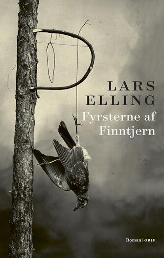 Lars Elling: Fyrsterne af Finntjern : roman