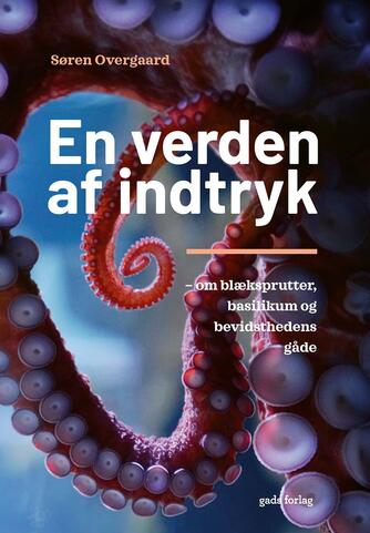 Søren Overgaard (f. 1973): En verden af indtryk : om blæksprutter, basilikum og bevidsthedens gåde