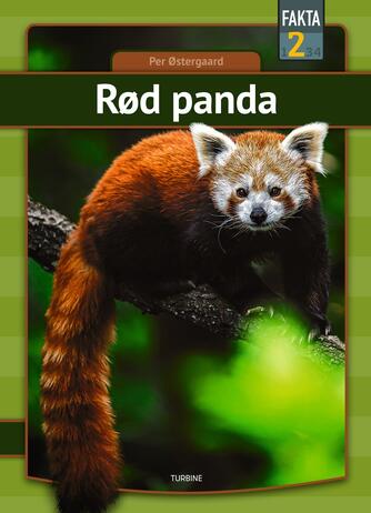 Per Østergaard (f. 1950): Rød panda