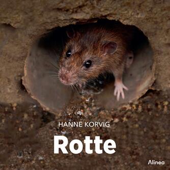 Hanne Korvig: Rotte