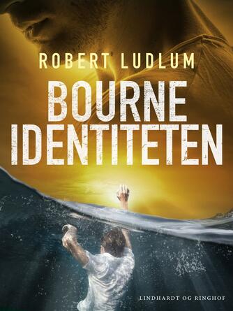 Robert Ludlum: Bourne-identiteten