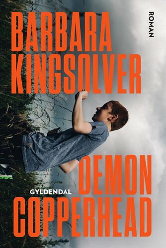 Barbara Kingsolver: Demon Copperhead : roman