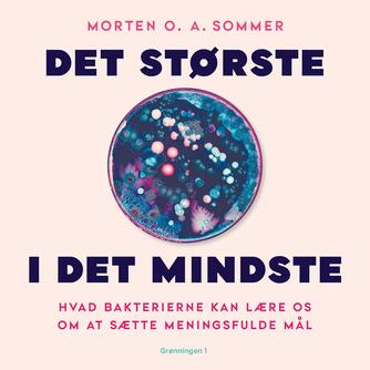 Morten O. A. Sommer: Det største i det mindste : hvad bakterierne kan lære os om at sætte meningsfulde mål