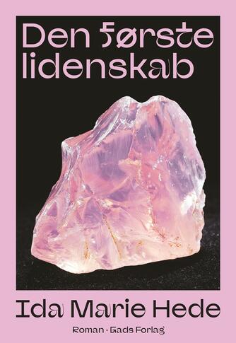 Ida Marie Hede: Den første lidenskab : roman