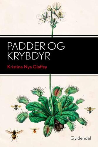 Kristina Nya Glaffey: Padder og krybdyr