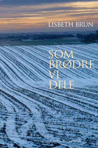 Lisbeth Brun: Som brødre vi dele : roman