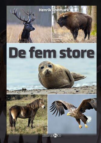 Henrik Enemark: De fem store