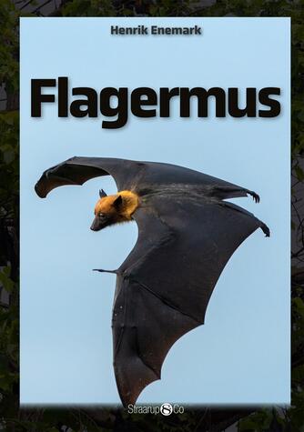 Henrik Enemark: Flagermus