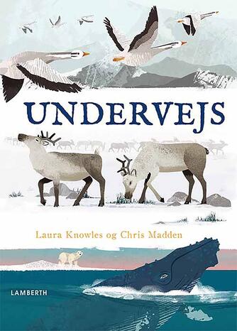 Laura Knowles, Chris Madden: Undervejs