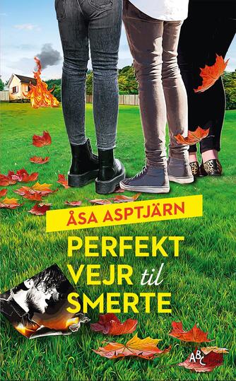 Åsa Asptjärn: Perfekt vejr til smerte