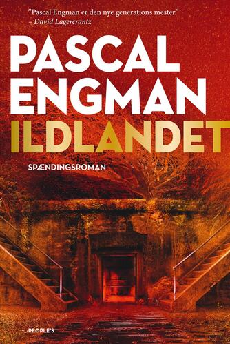 Pascal Engman (f. 1986): Ildlandet : spændingsroman