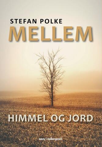 Stefan Polke: Mellem himmel og jord : essays