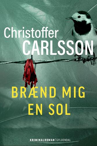 Christoffer Carlsson: Brænd mig en sol : kriminalroman