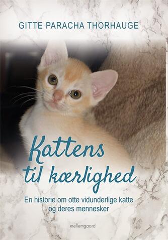 Gitte Paracha Thorhauge: Kattens til kærlighed : en historie om otte vidunderlige katte og deres mennesker