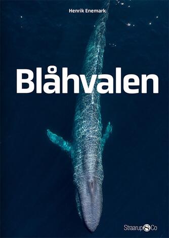 Henrik Enemark: Blåhvalen