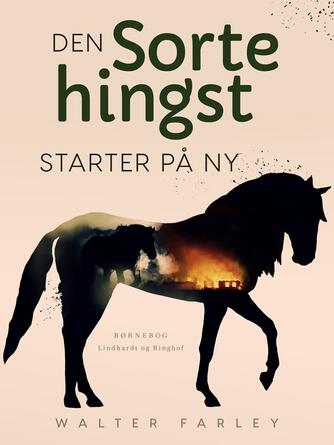 Walter Farley: Den sorte hingst starter påny