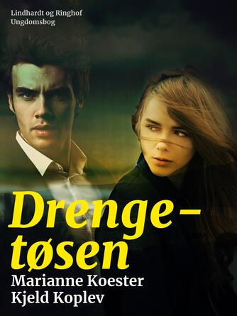 : Drengetøsen : roman