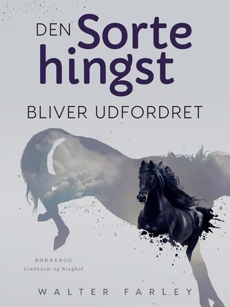 Walter Farley: Den sorte hingst bliver udfordret