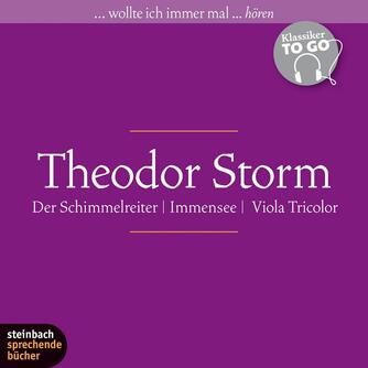 : Theodor Storm - Drei ausgewählte Novellen