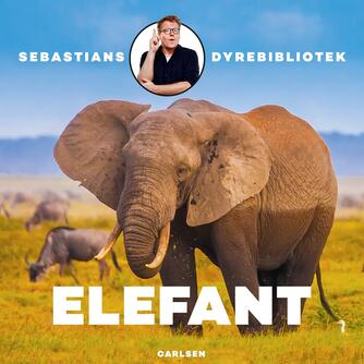 Sebastian Klein: Elefant