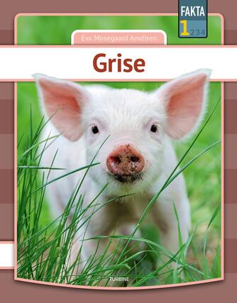 Eva Mosegaard Amdisen: Grise