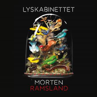 Morten Ramsland: Lyskabinettet