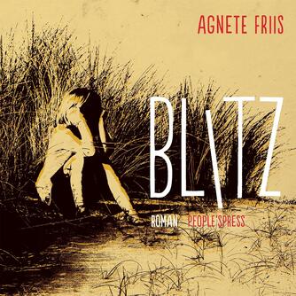 Agnete Friis: Blitz : roman