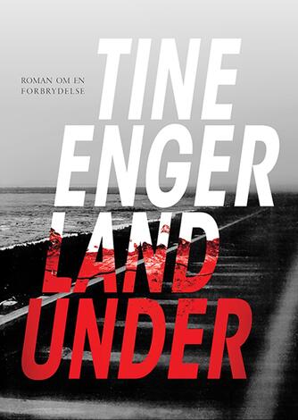 Tine Enger: Land under : roman om en forbrydelse