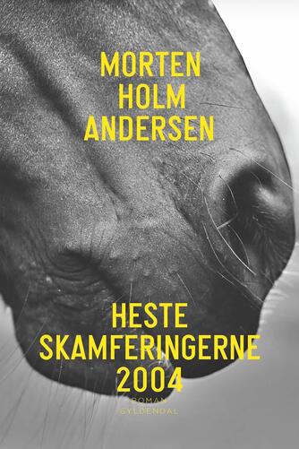 Morten Holm Andersen (f. 1972): Hesteskamferingerne 2004 : roman