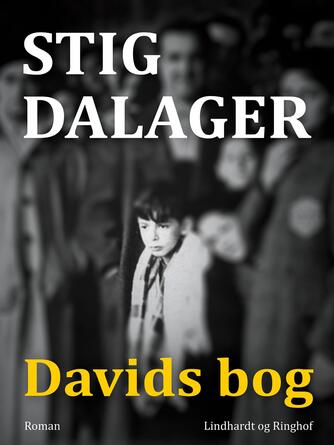 Stig Dalager: Davids bog : roman