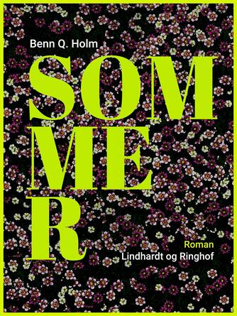 Benn Q. Holm (f. 1962): Sommer : roman