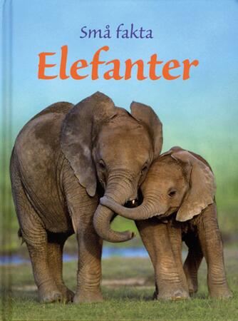 James Maclaine: Elefanter