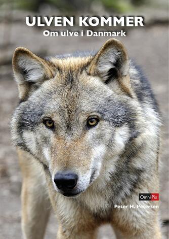 Peter H. Petersen (f. 1954): Ulven kommer : om ulve i Danmark