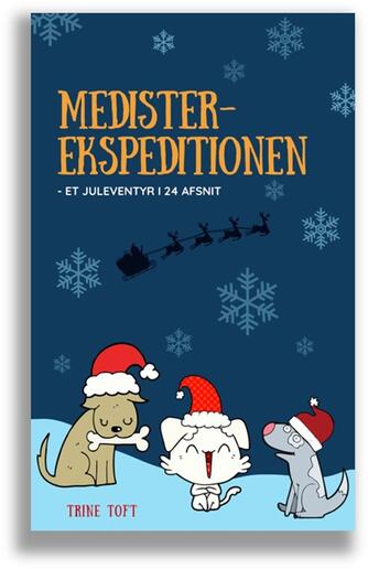 Trine Toft: Medister-ekspeditionen : et juleeventyr i 24 afsnit