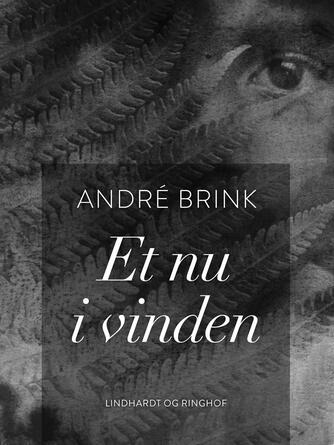 André Brink: Et nu i vinden