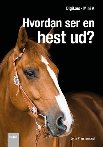 John Nielsen Præstegaard: Hvordan ser en hest ud?