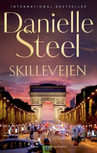 Danielle Steel: Skillevejen : roman