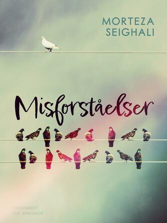 Morteza Seighali: Misforståelser